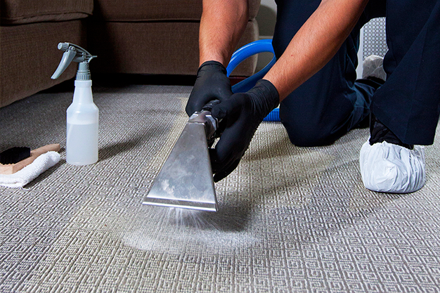 Carpet Cleaning Newtown