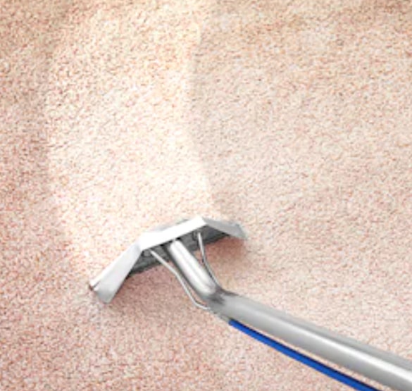 carpet cleaning newtown